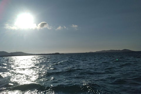 Townsville Small Group Early Morning Sailing Cruise Boat Tour Charter Hire - Accommodation in Brisbane 4
