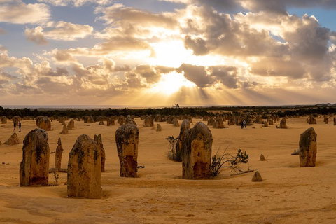 Half Day Pinnacles Sunset Tour - Accommodation in Brisbane 0