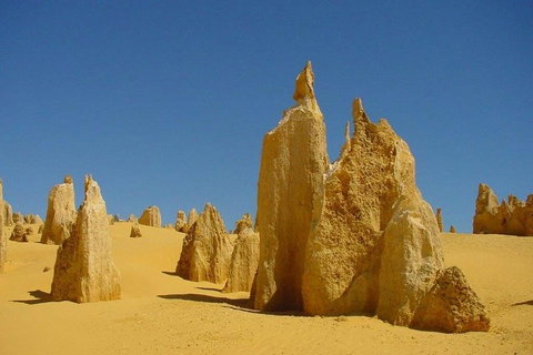 Half Day Pinnacles Sunset Tour - Accommodation in Brisbane 2