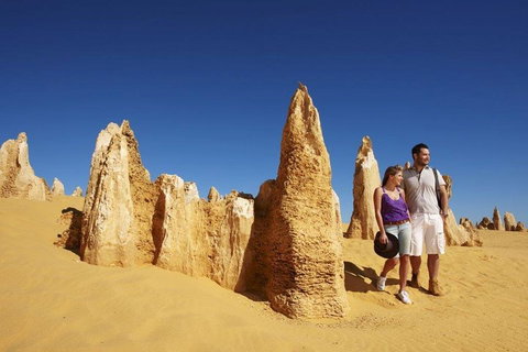 Half Day Pinnacles Sunset Tour - Accommodation in Brisbane 4