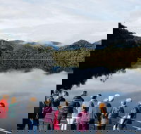 Gordon River Cruise departing from Strahan - Accommodation in Brisbane