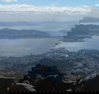 Mt Wellington Tour and MONA Admission - Accommodation in Brisbane