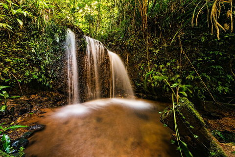 Paronella Park Admission Ticket - Accommodation in Brisbane 5