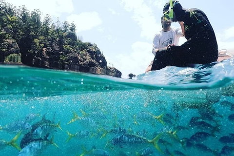 2 Night Small Group Whitsundays Sailing Adventure Aboard Mandrake - Accommodation in Brisbane 5