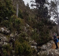kunanyi / Mt. Wellington Guided Hiking Tour - Accommodation in Brisbane