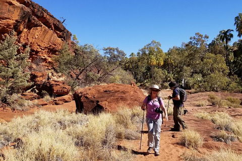 Palm Valley And Hermannsburg 1 Day 4WD Tour - Accommodation in Brisbane 1