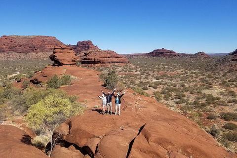 Palm Valley And Hermannsburg 1 Day 4WD Tour - Accommodation in Brisbane 3