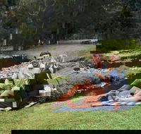 Mt Tamborine - Hinterland Wonders Self Guided - Accommodation in Brisbane