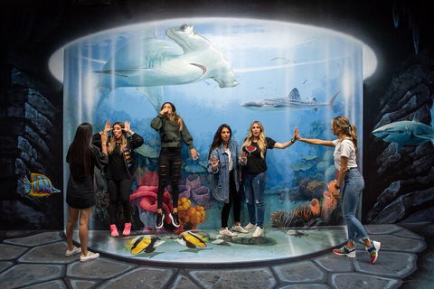 ArtVo Immersive Gallery Experience - Accommodation in Brisbane 2