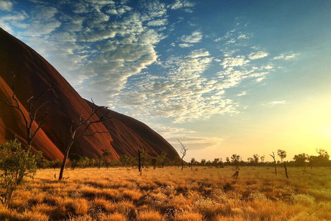 Highlights Of Uluru Including Sunrise And Breakfast - Accommodation in Brisbane 0
