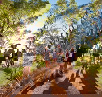 Uluru Small Group Tour including Sunset - Accommodation in Brisbane