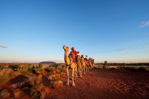 Uluru Small-Group Tour By Camel At Sunrise Or Sunset - Accommodation in Brisbane 3