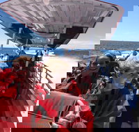 Adventure Rottnest Tour with Ferry  Adventure Cruise from Perth or Fremantle - Accommodation in Brisbane