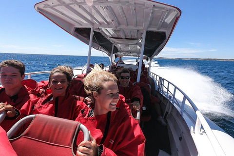 Adventure Rottnest Tour With Ferry & Adventure Cruise From Perth Or Fremantle - Accommodation in Brisbane 0