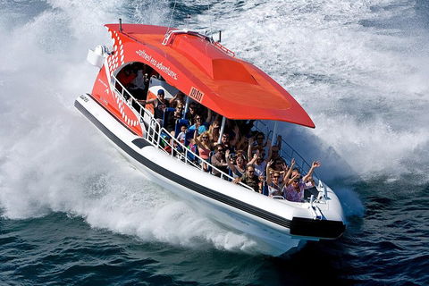 Adventure Rottnest Tour With Ferry & Adventure Cruise From Perth Or Fremantle - Accommodation in Brisbane 2