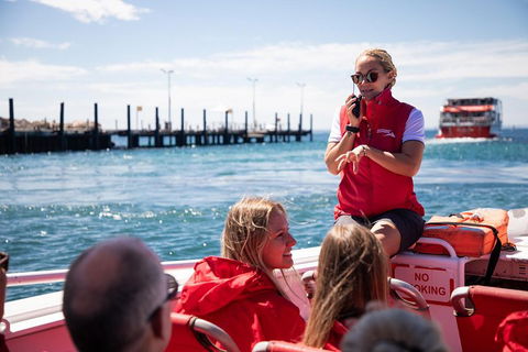 Adventure Rottnest Tour With Ferry & Adventure Cruise From Perth Or Fremantle - Accommodation in Brisbane 4