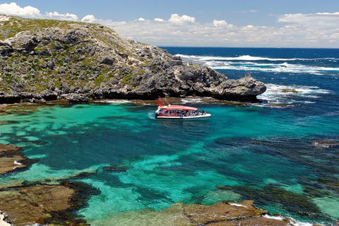 Adventure Rottnest Tour With Ferry & Adventure Cruise From Perth Or Fremantle - Accommodation in Brisbane 5