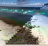 Experience Rottnest with Ferry  Bike Hire from Perth or Fremantle - Accommodation in Brisbane