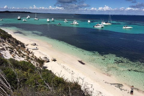 Experience Rottnest With Ferry & Bike Hire From Perth Or Fremantle - Accommodation in Brisbane 0