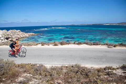Experience Rottnest With Ferry & Bike Hire From Perth Or Fremantle - Accommodation in Brisbane 2