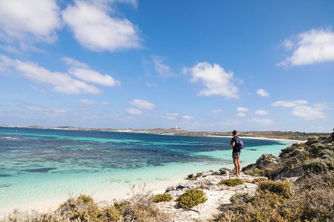 Experience Rottnest With Ferry & Bike Hire From Perth Or Fremantle - Accommodation in Brisbane 3