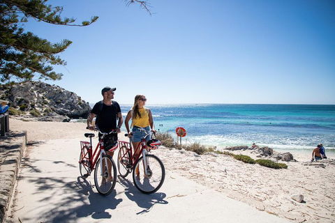 Experience Rottnest With Ferry & Bike Hire From Perth Or Fremantle - Accommodation in Brisbane 4
