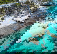 Rottnest Island Round-Trip Ferry from Perth or Fremantle - Accommodation in Brisbane