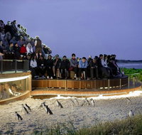 2-Day Great Ocean Road Mornington Peninsula and Phillip Island Tour - Accommodation in Brisbane