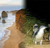 Melbourne Super Saver Great Ocean Road  Phillip Island  Attraction Pass - Accommodation in Brisbane