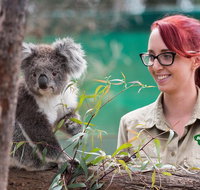 Small-Group Phillip Island Penguin Parade Day Tour from Melbourne - Accommodation in Brisbane
