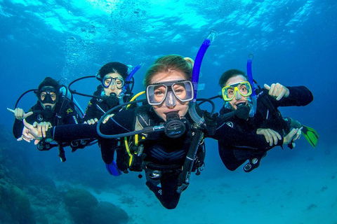 Great Barrier Reef Diving And Snorkeling Cruise From Cairns - Accommodation in Brisbane 0