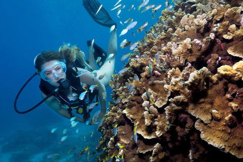 Great Barrier Reef Diving And Snorkeling Cruise From Cairns - Accommodation in Brisbane 1