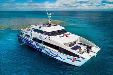 Great Barrier Reef Diving And Snorkeling Cruise From Cairns - Accommodation in Brisbane 5