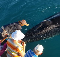 AOC Whale Watching from Broome - Accommodation in Brisbane