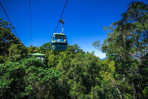 Classic Kuranda By Skyrail And Scenic Railway Including Rainforestation, Koala And Wildlife Park And Pamagirri Aboriginal Experi - Accommodation in Brisbane 0
