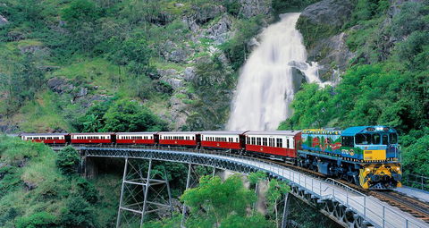 Classic Kuranda By Skyrail And Scenic Railway Including Rainforestation, Koala And Wildlife Park And Pamagirri Aboriginal Experi - Accommodation in Brisbane 1
