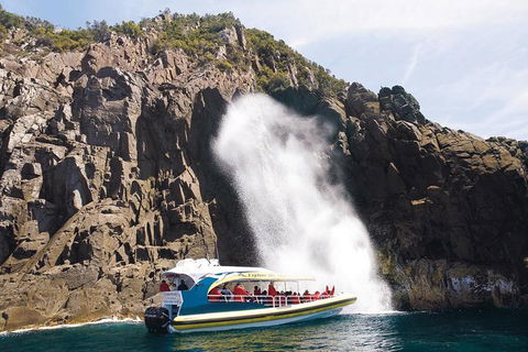 Full-Day Bruny Island Cruises Day Tour From Hobart - Accommodation in Brisbane 4