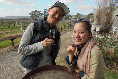Swan Valley River Cruise And Wine Tasting Day Trip From Perth - Accommodation in Brisbane 0
