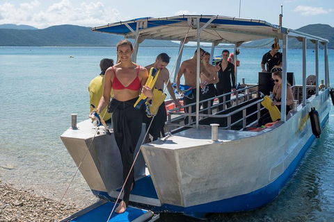 Fitzroy Island Day Trip From Cairns - Accommodation in Brisbane 5