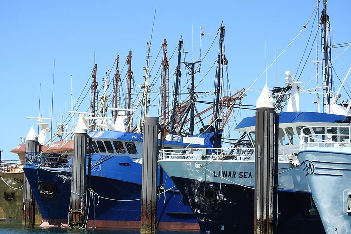 Accommodation in Brisbane