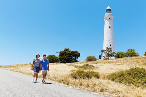 Rottnest Island Full-Day Trip With Guided Island Tour From Perth - Accommodation in Brisbane 4