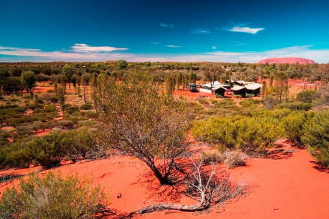 Overnight Uluru (Ayers Rock) Small-Group Camping Tour - Accommodation in Brisbane 2