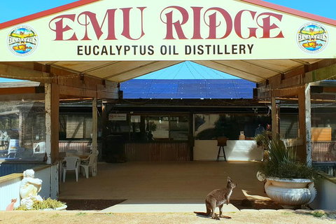 2 Day Ultimate Kangaroo Island With Return Ferry - Accommodation in Brisbane 3