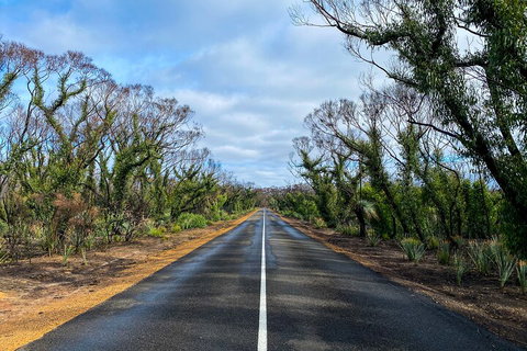 2 Day Ultimate Kangaroo Island With Return Ferry - Accommodation in Brisbane 4