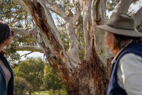 NEW TOUR - Kangaroo Island Road To Recovery Tour (1 Day/1 Night) - Accommodation in Brisbane 0