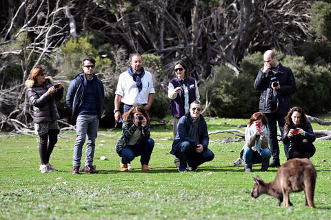 Small-Group Kangaroo Island 4WD Tour From Adelaide - Accommodation in Brisbane 2