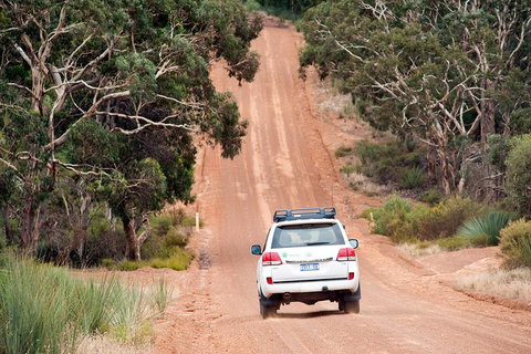Small-Group Kangaroo Island 4WD Tour From Adelaide - Accommodation in Brisbane 3