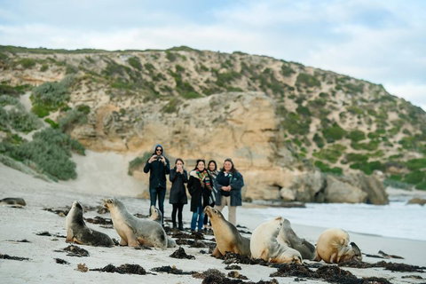 Small-Group Kangaroo Island 4WD Tour From Adelaide - Accommodation in Brisbane 4