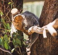 Melbourne City Tour and Phillip Island in One Day - Accommodation in Brisbane