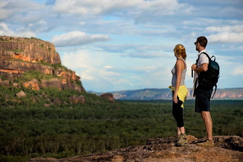Kakadu National Park Wildlife And Ubirr Rock Art Tour From Darwin City - Accommodation in Brisbane 3